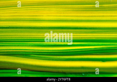 Sfondo ad acquerello giallo e verde scuro. Foto Stock