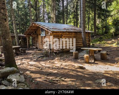 Cabina in legno nella foresta Foto Stock