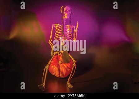 Statuetta di scheletro seduta sulla zucca, illuminata da un mix di luci viola e arancione, creando un'atmosfera spettrale e artistica a tema Halloween. Foto Stock