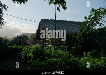 tradizionale casa indigena di maloca nella foresta amazzonica Foto Stock