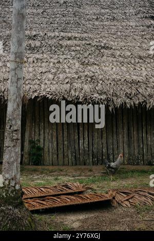 tradizionale casa indigena di maloca nella foresta amazzonica Foto Stock