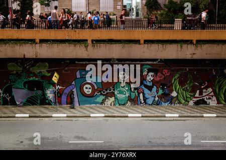 San Paolo, Brasile. 24 gennaio 2014. Vista generale dei graffiti urbani di Street art al Tunnel Jose Roberto Fanganiello Melhem in Avenida Paulista, San Paolo, Brasile. Foto Stock