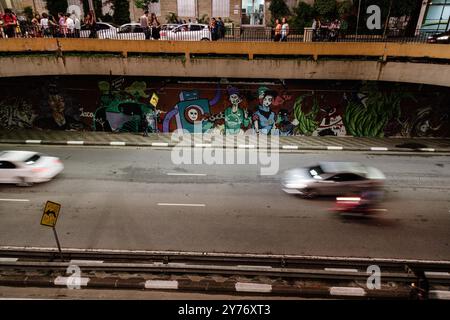 San Paolo, Brasile. 24 gennaio 2014. Vista generale dei graffiti urbani di Street art al Tunnel Jose Roberto Fanganiello Melhem in Avenida Paulista, San Paolo, Brasile. Foto Stock