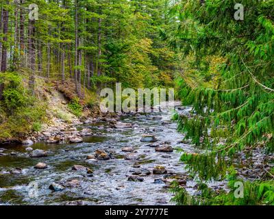 Una vista del fiume Snoqualmie da un drone a North Bend, Washington. Foto Stock