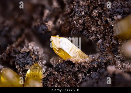 Cristalli di Mimetite gialli su Dolomite. Esemplare proveniente dalla miniera di Potosí, Aquiles Serdán, Messico. Micro Photography primi piani estremi. microscopio minerale crysta Foto Stock