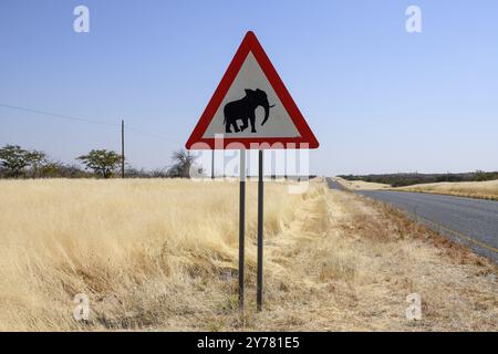 Attenzione all'insegna degli elefanti, vicino a Khorixas, Damaraland, regione di Kunene, Namibia, Africa Foto Stock