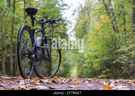 Black bike nella foresta autunnale, regione di Kaliningrad, Russia, 30 settembre 2018, Europa Foto Stock