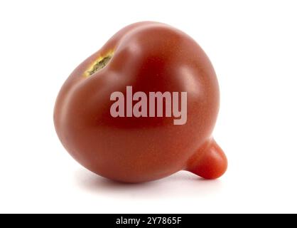 Pomodoro fresco con punta allungata isolata su fondo bianco Foto Stock
