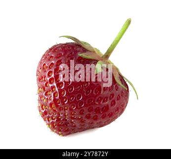 Fragole mature isolati su sfondo bianco Foto Stock