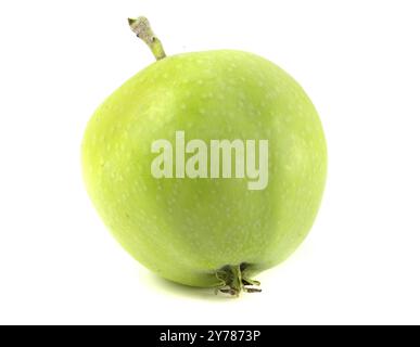 Mela verde con peduncolo isolato su sfondo bianco Foto Stock