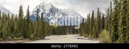 Viste mozzafiato lungo il fiume Athabasca nel Jasper National Park durante la primavera, con immenso deserto in un'area naturale panoramica lungo l'autostrada 93A. Foto Stock