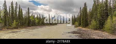 Viste mozzafiato lungo il fiume Athabasca nel Jasper National Park durante la primavera, con immenso deserto in un'area naturale panoramica lungo l'autostrada 93A. Foto Stock