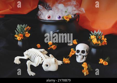 Teschio di Halloween e scheletro di rana con fiori di colore arancione davanti al calderone nero. Festa messicana Día de los Muertos decorazione. Basso contrasto. Foto Stock