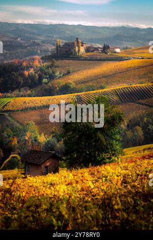 Vista con baloon dalla terrazza di la Morra. Nel cuore dei vigneti colorati in autunno nelle Langhe, patrimonio dell'umanità dell'UNESCO. Foto Stock