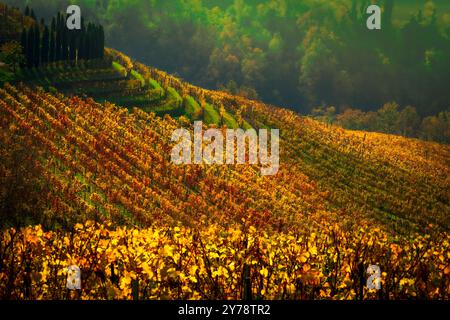 Vigneti colorati in autunno nelle Langhe piemontesi, patrimonio dell'umanità dell'UNESCO. Famosi per i loro paesaggi e per i loro vini come il Barolo e il Barbaresco. Foto Stock