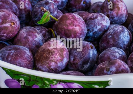 Fresh Harvest of Purple Plums in a Bowl a Hamilton, Ontario Foto Stock