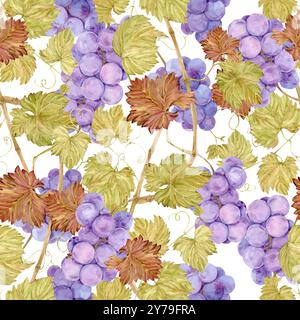 Sfondo fluido con vite. Acquerello lilla bacche e foglie d'uva autunnale. Illustrazioni per il design di etichette di vini, succo d'uva, uomini di ristoranti Foto Stock