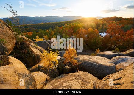 Il sole tramonta un bagliore dorato sul paesaggio autunnale, illuminando il vivace fogliame rosso e arancione. Formazioni rocciose robuste in primo piano sotto il cielo nuvoloso. Dovbush Rocks, Carpazi, Ucraina. Foto Stock