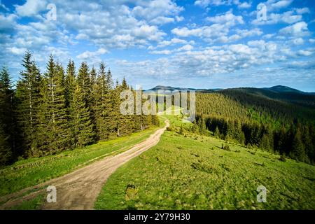Vista panoramica della strada sterrata che si snoda attraverso un paesaggio lussureggiante e verde con fitte foreste e colline ondulate. Alti pini fiancheggiano il sentiero sotto un cielo parzialmente nuvoloso, creando un ambiente pittoresco e tranquillo. Foto Stock