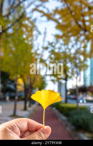 Foto ravvicinata di una mano che regge una foglia gialla di Ginkgo con sfondo sfocato del paesaggio autunnale Foto Stock