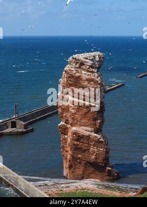 Lange Anna o Tall Anna, una pila di mare alta 47 metri di Buntsandstein, nell'isola di Helgoland, in Germania, nel Mare del Nord. Foto Stock