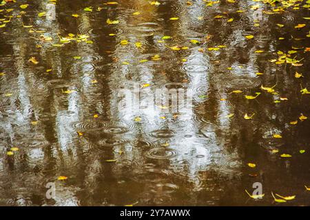 Gira in un pozzetto di gocce di pioggia e foglie cadute Foto Stock