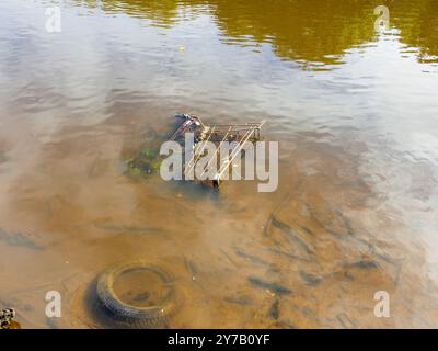 Carrello della spesa sommerso e pneumatico in acque poco profonde e torbide di un fiume inquinato. Foto Stock