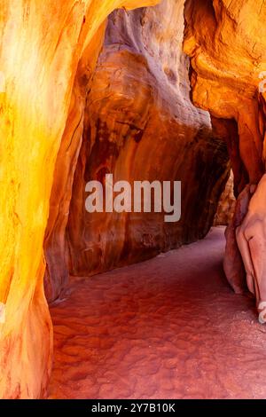 Formazione di roccia arenaria. Strette gole e fessure nel canyon di Wadi Essendilene. Parco nazionale Tassili n'Ajjer, Algeria, Africa Foto Stock