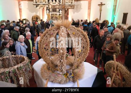 Mittweida, Germania. 29 settembre 2024. Le corone del raccolto sono esposte al 25° State Harvest Festival nella chiesa cittadina "Unser Lieben Frauen". Lo spettacolo di tre giorni ha attirato decine di migliaia di visitatori nella città universitaria della Sassonia centrale. L'anno prossimo, il festival si terrà a Hoyerswerda. Crediti: Sebastian Willnow/dpa/ZB/dpa/Alamy Live News Foto Stock