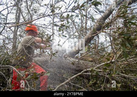 Steinhatchee, Stati Uniti. 28 settembre 2024. Gli aviatori della U.S. Air Force utilizzano le motoseghe per rimuovere i detriti dopo l'uragano Helene, 28 settembre 2024, a Steinhatchee, Florida. La regione di Big Bend, tra cui Steinhatchee e Keaton Beach, ha ricevuto il peso della massiccia tempesta di categoria 4, distruggendo circa il 90% delle case e delle proprietà. Credito: SSgt. Jacob Hancock/US Air Force/Alamy Live News Foto Stock