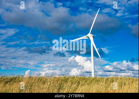 Una turbina eolica solitaria torreggia su un campo di erba dorata sotto un cielo vibrante pieno di nuvole in Svezia, simboleggiando gli sforzi energetici sostenibili. Foto Stock