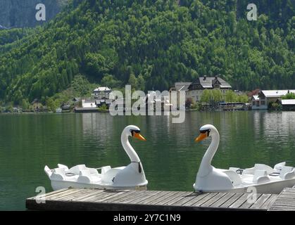 Le barche sotto forma di cigni sono ormeggiate nel lago Hallstatt, in Austria Foto Stock