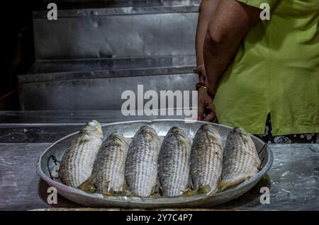 Pesce in vendita al mercato di Chinatown a Bangkok Foto Stock