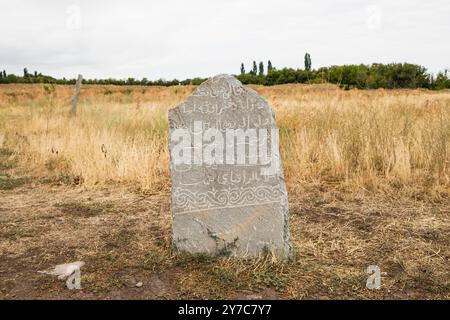 Kirghizistan, storica statua scultorea in pietra vicino alla Burana Tower nella valle di Chuy Foto Stock