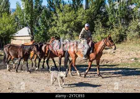 Kirghizistan, Chon-Kemin, cavaliere Foto Stock