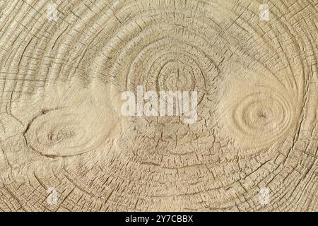 Vernice dorata su un pezzo di legno di pino per lo sfondo Foto Stock