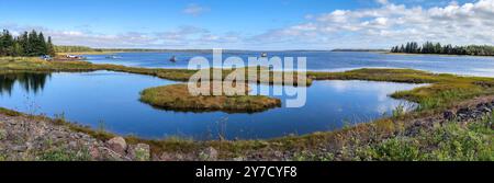 Laguna paludosa lungo l'Island Trail, Prince Edward Island, Canada Foto Stock