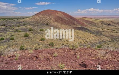 Vista sul monte Doney Volcanic Crater vicino a Flagstaff, Arizona. Foto Stock