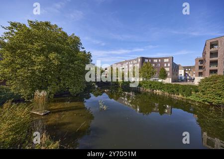 Alberi e edifici moderni si riflettono sulla superficie del fiume Bocholter AA sotto un cielo blu a Bocholt, Muensterland, Borken District, North RH Foto Stock