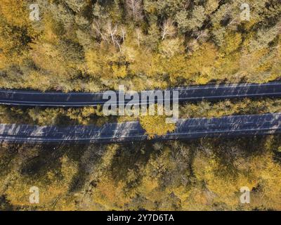 Due strade attraverso la foresta autunnale e gli alberi gialli, vista dall'alto Foto Stock