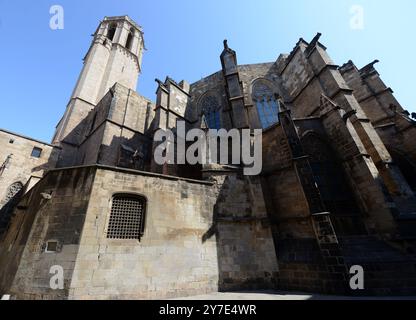 The Barcelona Cathedral in the Gothic quarter in Barcelona, Spain. Stock Photo