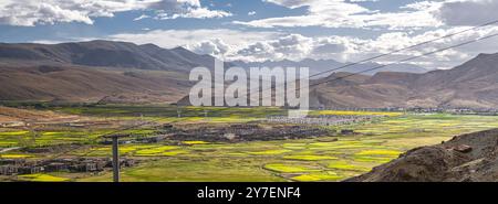 Vista su Sakya e la fioritura dei semi di colza nel Tibet centrale, cielo al tramonto con spazio copia Foto Stock