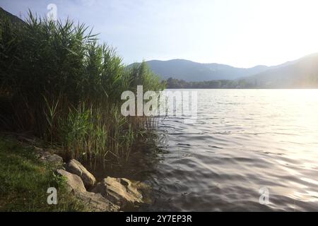 Lago sulle montagne al tramonto incorniciato da piante Foto Stock