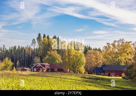 Antica fattoria idilliaca ai margini della foresta con splendidi colori autunnali Foto Stock