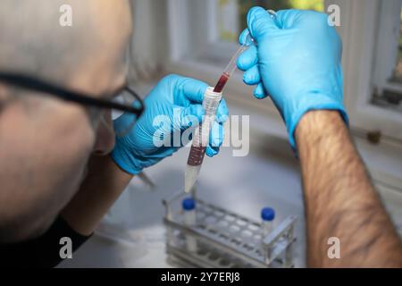 Belgrado, Serbia, 21 settembre 2024: Uno scienziato elabora campioni di sangue in un laboratorio biochimico. Foto Stock