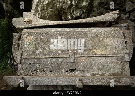 Scultura decorativa su sarcofago in legno nel tradizionale luogo di sepoltura nel villaggio di Kete Kesu, Toraja Nord, Sulawesi Sud, Indonesia. Foto Stock