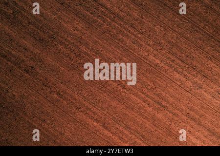 Vista dall'alto del terreno agricolo pronto per la coltivazione, ripresa aerea dal drone pov Foto Stock