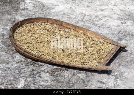 Il pesce Kachki viene prodotto dal Kachki shutki essiccato al sole nel Kula fatto in bambù. Mucchio di pesce d'acciuga essiccato (Corica soborna) su un tradizionale vassoio in tessuto Foto Stock