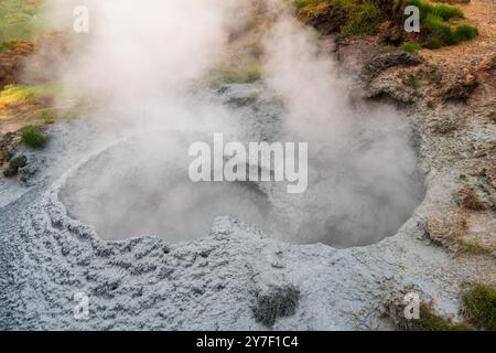 L'area geotermica di Hveradalir in Islanda in un Foggy Summer Day Foto Stock