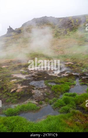 L'area geotermica di Hveradalir in Islanda in un Foggy Summer Day Foto Stock